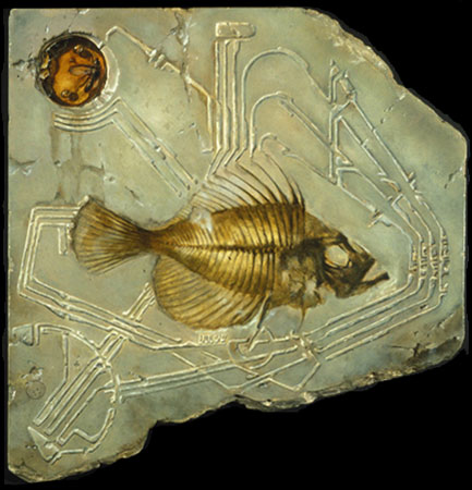 Pentaeum with Bug